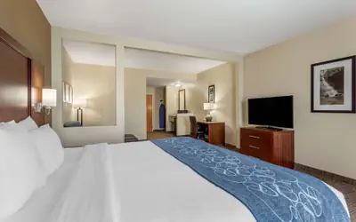 Comfort Suites Goodlettsville Rivergate