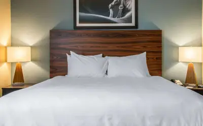 MainStay Suites Cotulla