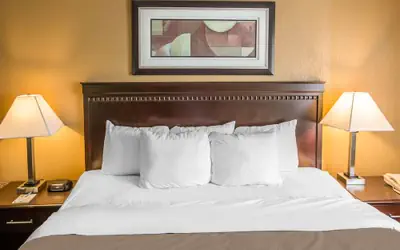 Econo Lodge Inn & Suites Monroe