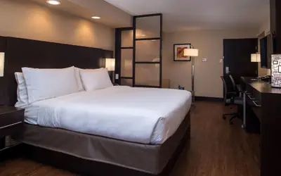 Holiday Inn Express & Suites San Antonio Medical-Six Flags by IHG