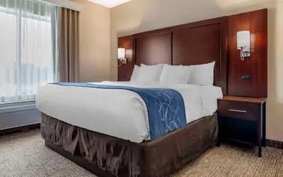 Comfort Suites Pell City near Logan Martin Lake