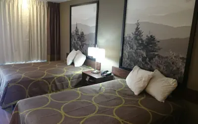 Super 8 by Wyndham Asheville Airport