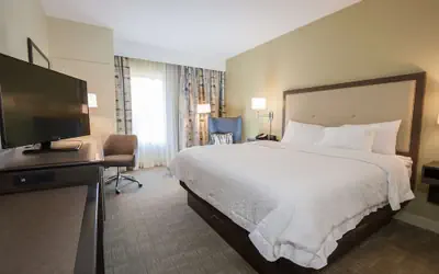 Hampton Inn - Great Falls