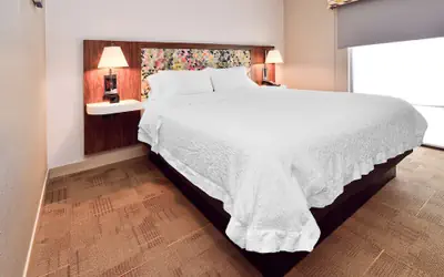 Hampton Inn Santee-I-95