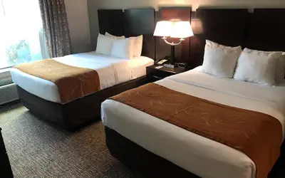 Comfort Suites Bay City East