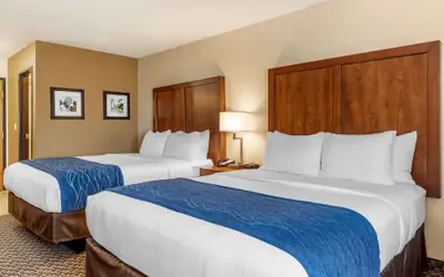 Comfort Inn & Suites near Route 66