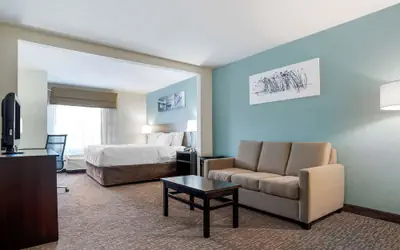 Sleep Inn & Suites Auburn Campus Area I-85