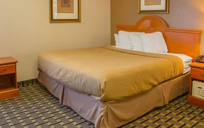 Quality Inn & Suites Detroit Metro Airport