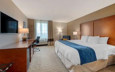 Comfort Inn Anderson South