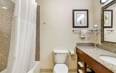 Comfort Inn & Suites near Bethel College