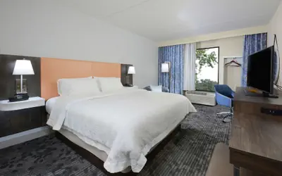 Hampton Inn & Suites Greenville/Spartanburg I-85, SC