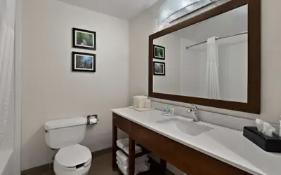 Comfort Inn & Suites Santee