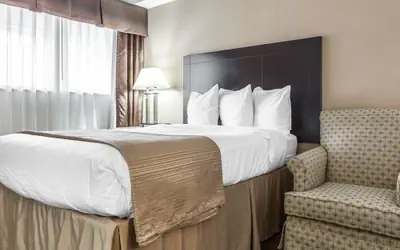 Quality Inn & Suites Coliseum