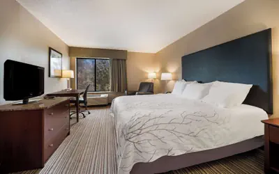 Best Western Park Oasis Inn