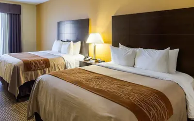 Comfort Inn & Suites Burnet
