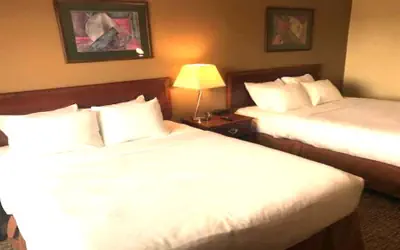 Comfort Inn & Suites Morton - Peoria