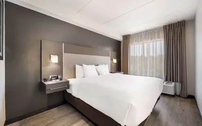 Comfort Suites Northlake