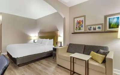 Comfort Suites Shenandoah-The Woodlands