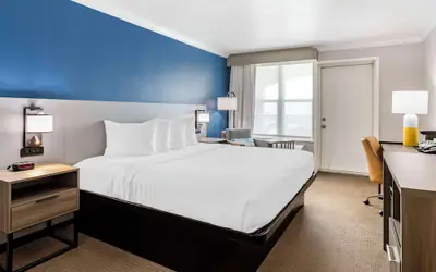 Comfort Inn & Suites Galveston Central Island near Pier