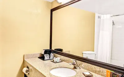 Wyndham Garden Detroit Metro Airport