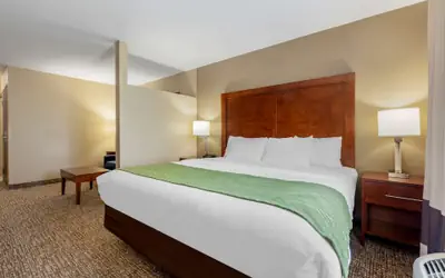 Comfort Inn Plover-Stevens Point