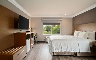 Best Western Plus Newport Mesa Inn