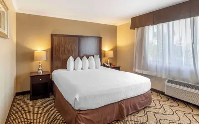 Best Western Plus Orchid Hotel & Suites