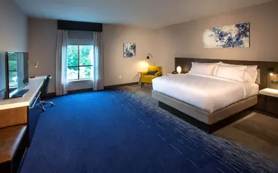 Hilton Garden Inn Redmond Seattle