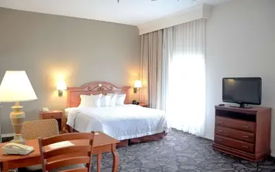 Hampton Inn & Suites Birmingham-Pelham - I-65