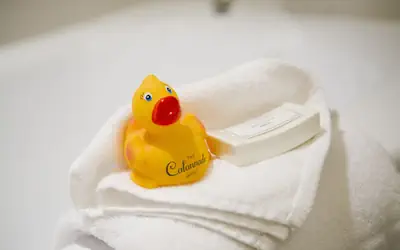 The Colonnade Hotel Back Bay