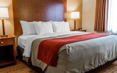 Comfort Inn & Suites Franklin East