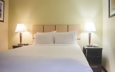 Candlewood Suites Houston Medical Center by IHG