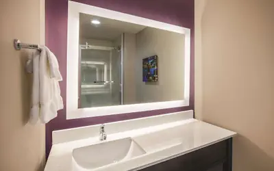 La Quinta by Wyndham Dallas Northeast-Arboretum