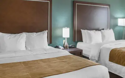 Comfort Inn & Suites San Marcos near Outlet Mall