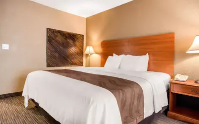 Quality Inn & Suites New Castle