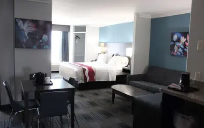 Best Western Medical Center North Inn & Suites Near Six Flags