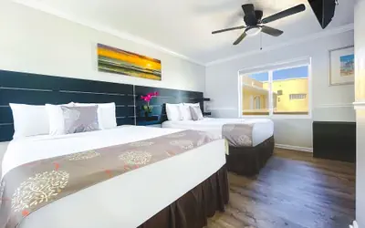 Hollywood Beach Seaside