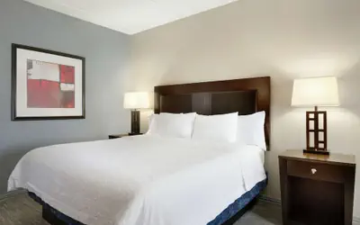 Hampton Inn and Suites Houston Clear Lake NASA