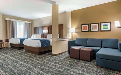 Comfort Inn & Suites Downtown near University