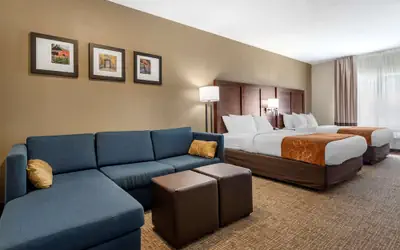 Comfort Suites Auburn near I-69