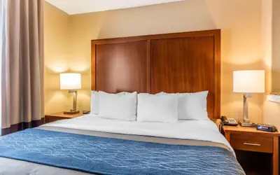 Comfort Inn & Suites Airport-American Way