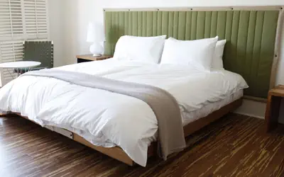 Hotel that allows pets!