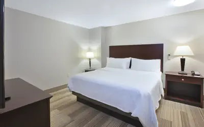 Holiday Inn Express Hotel & Suites Niles by IHG