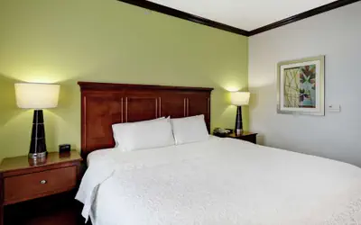 Hampton Inn & Suites San Antonio/Northeast I-35