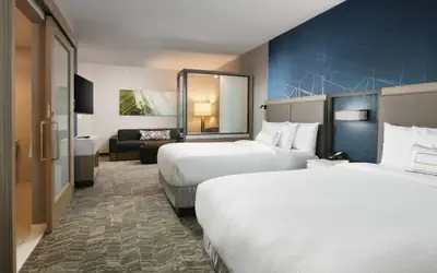 SpringHill Suites Dallas DFW Airport South/CentrePort