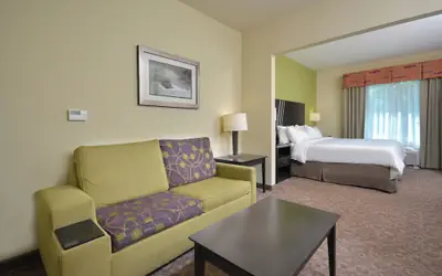 Holiday Inn Express Hotel & Suites Clemson - University Area by IHG