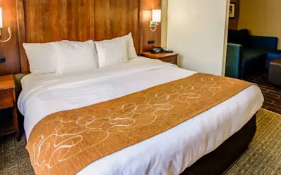 Comfort Suites Georgetown