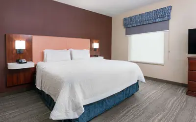 Hampton Inn Springfield South Enfield