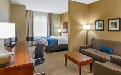 Comfort Inn & Suites Lynchburg Airport - University Area