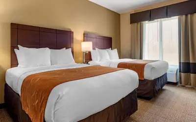 Comfort Suites Airport South